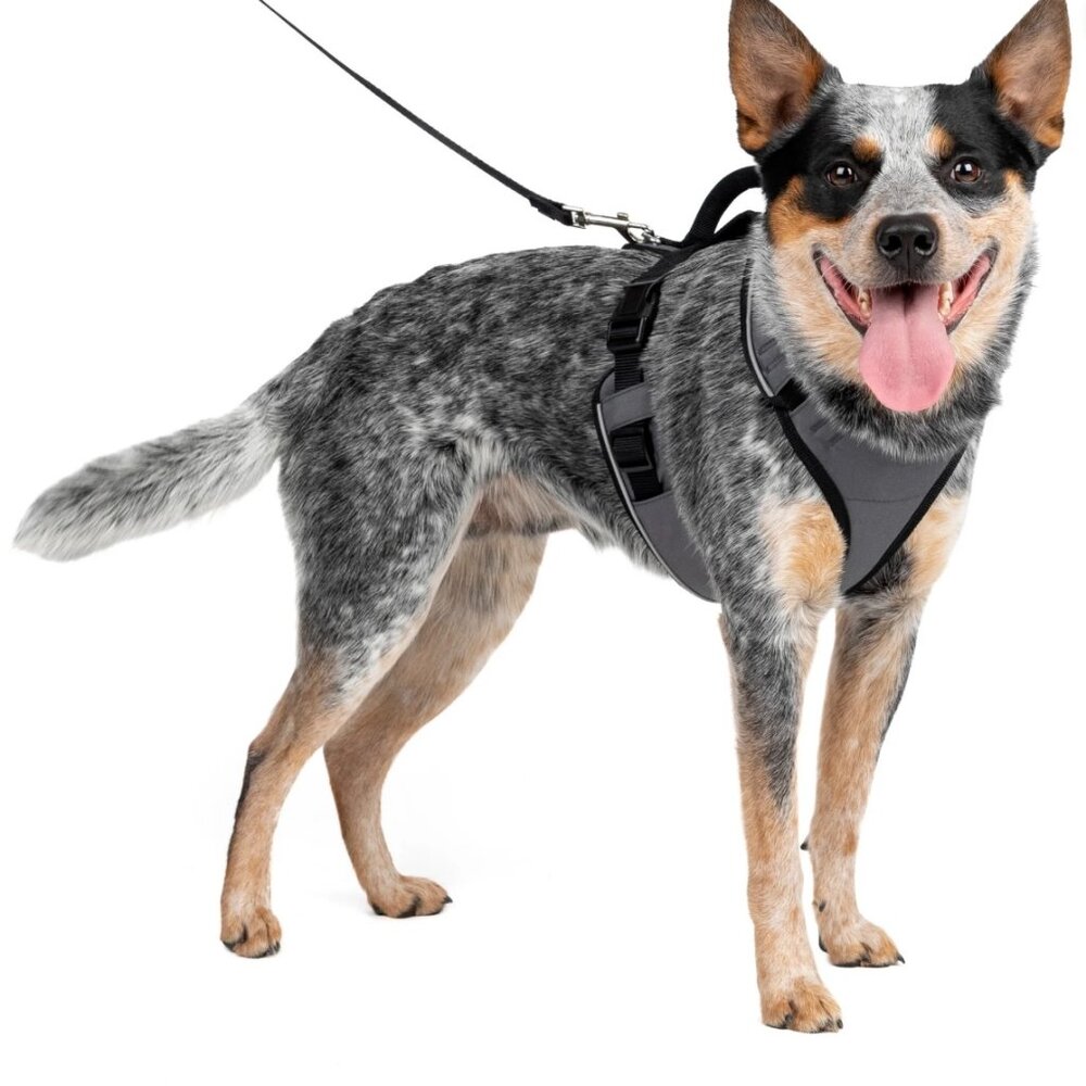 PetSafe EasySport Dog Harness, Adjustable, Padded with Handle, Reflective, Mediu